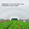 VEVOR Greenhouse Film 12 x 25 ft, Greenhouse Polyethylene Film 6 Mil Thickness, Greenhouse Clear Plastic Film UV Resistant